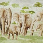 Elephants-closeup-Copyright-Mabel-Cheung-Harris