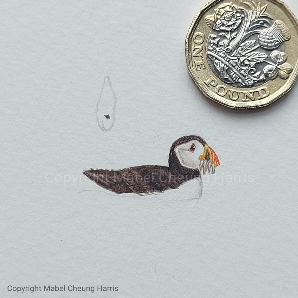 Close-up of puffin painting detail.  Puffin is sitting on water with beak full of fish, a pound coin alongside to show scale. The puffin is not much bigger than the pound coin.  Acrylic paints on watercolour paper.